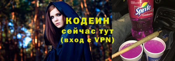 стафф Дубна