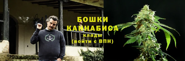 стаф Дубовка