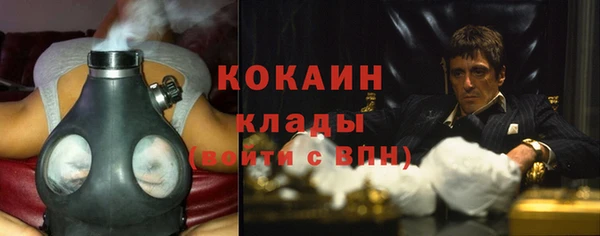 стафф Дубна