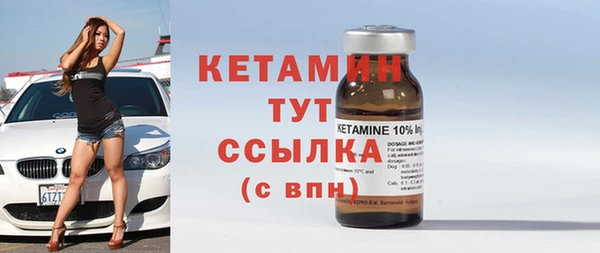 стаф Дубовка