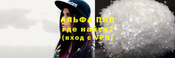 PSILOCYBIN Семёнов