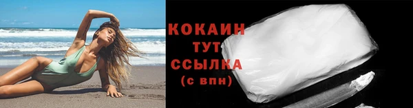 стафф Дубна