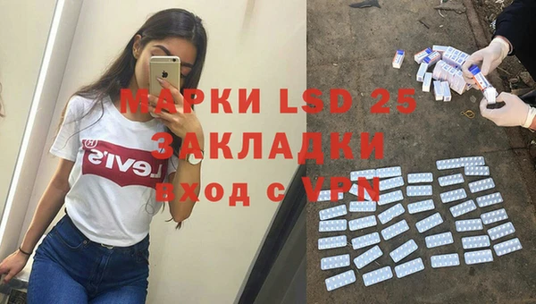стафф Дубна