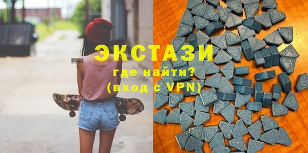 стафф Дубна