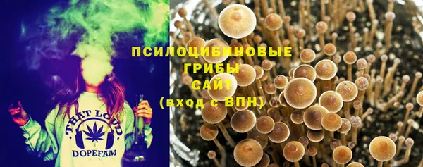 Альфа ПВП Семилуки